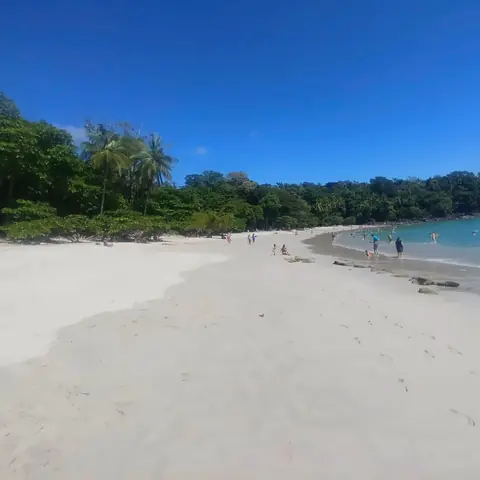 Playa de Manuel Antonio con el bosque detrás
