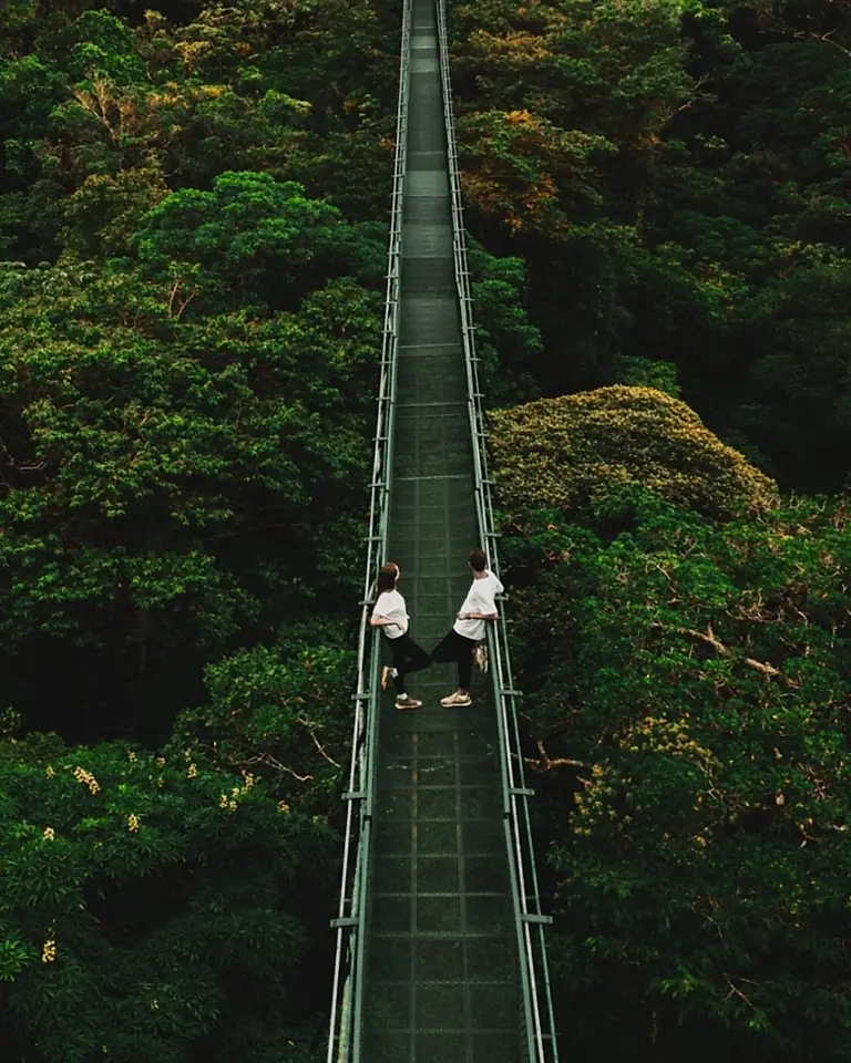 Puente colgante de Selvatura sobre el bosque nuboso, visto desde arriba, con dos personas cruzando