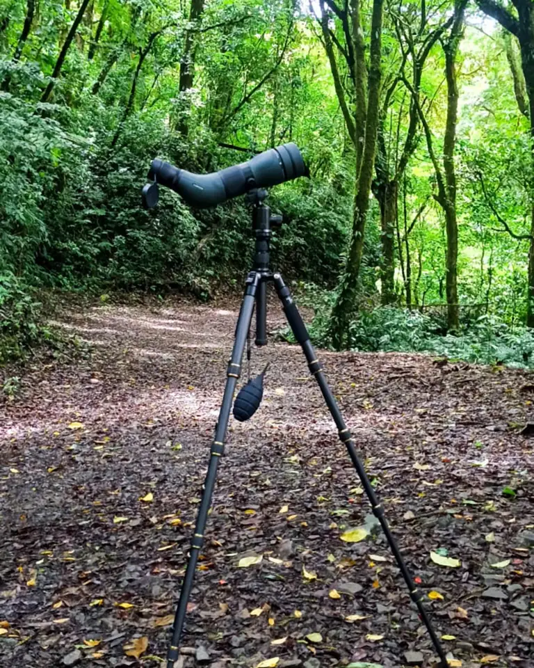 Telescopio sobre un trípode en un sendero del bosque