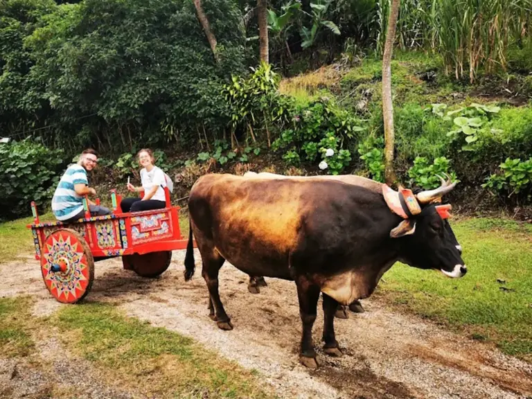 Carreta típica pintada, tirada por un buey, con dos visitantes en El Trapiche