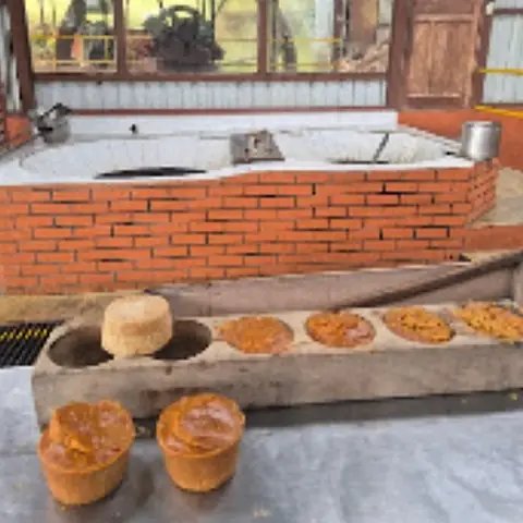 Tapas de dulce de caña recién hechas en su molde de madera