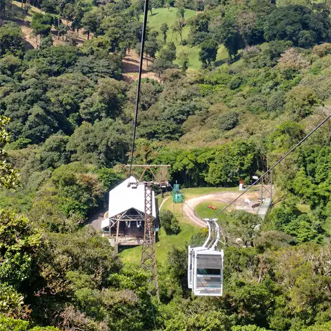 El teleférico de Treetopia visto desde arriba, con su estación en el bosque